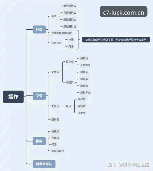 C7电子平台2026新版下载完整指南：从安装到使用全流程解析
